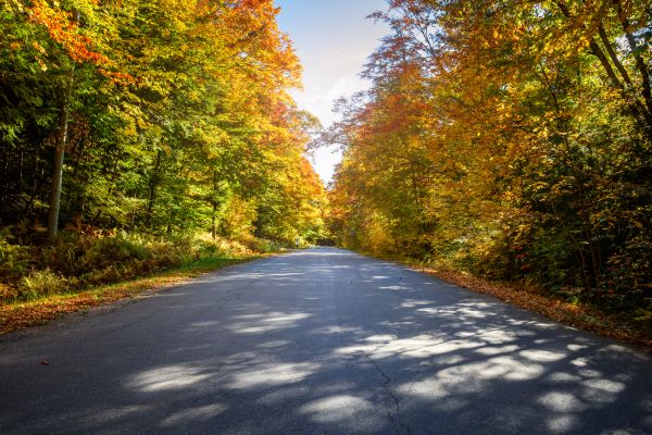 Blacktop Replacement in Nashua