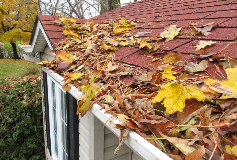 Fall Repairs
